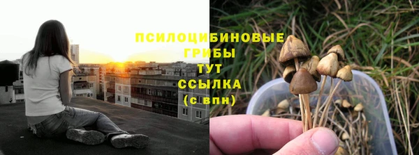 молекула духа Абдулино