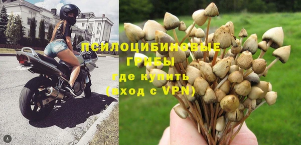 прущая мука Абинск