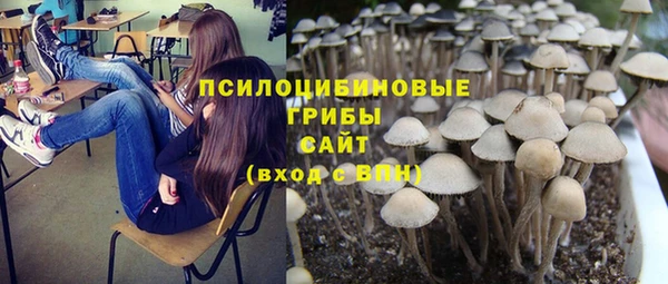 молекула духа Абдулино