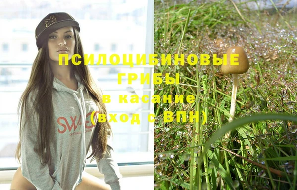 PSILOCYBIN Алзамай